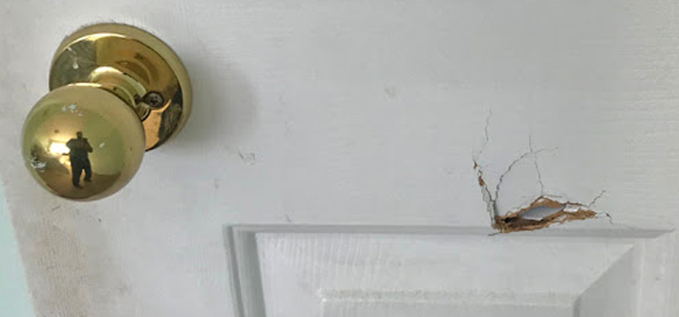 interior door hole repair Ladera Heights